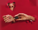 Sick or just "Nose Blind"?