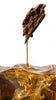 Oud oil dripping from a wild oud chip